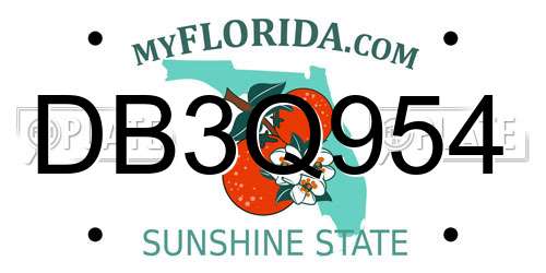 DB3Q954 Florida License Plate