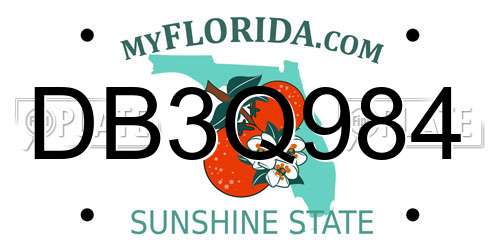 DB3Q984 Florida License Plate