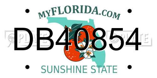 DB40854 Florida License Plate