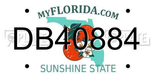 DB40884 Florida License Plate
