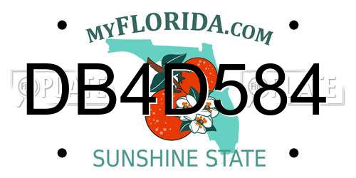 DB4D584 Florida License Plate