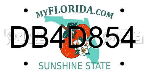 DB4D854 Florida License Plate