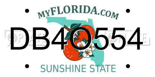 DB4O554 Florida License Plate