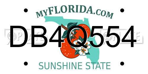 DB4Q554 Florida License Plate