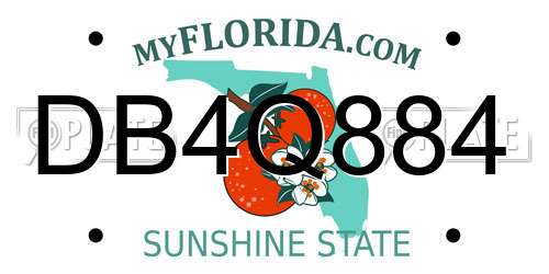 DB4Q884 Florida License Plate
