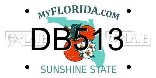 DB513 Florida License Plate
