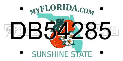 DB54285 Florida License Plate