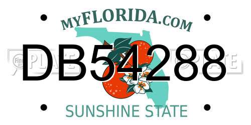 DB54288 Florida License Plate