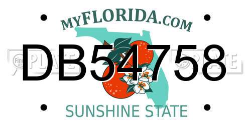DB54758 Florida License Plate