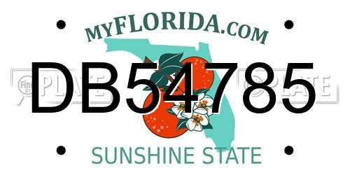 DB54785 Florida License Plate