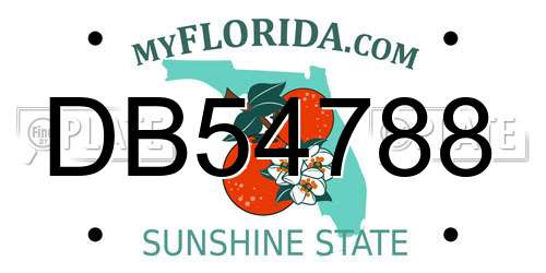DB54788 Florida License Plate