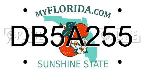 DB5A255 Florida License Plate