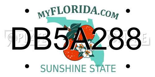 DB5A288 Florida License Plate