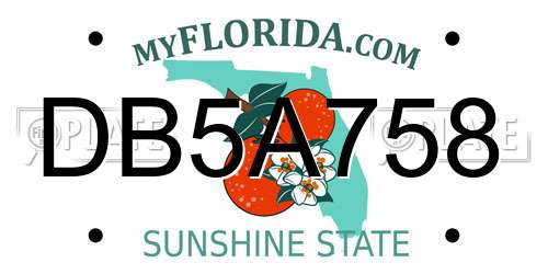 DB5A758 Florida License Plate