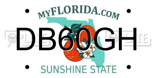 DB60GH Florida License Plate