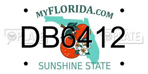 DB6412 Florida License Plate