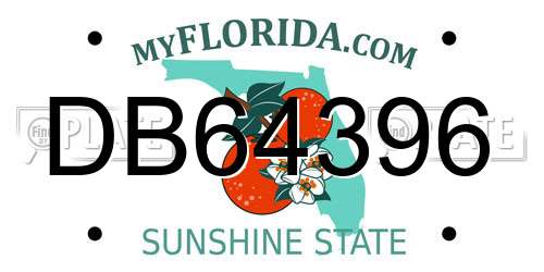 DB64396 Florida License Plate