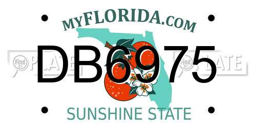 DB6975 Florida License Plate