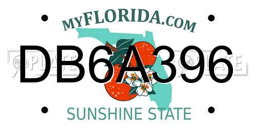 DB6A396 Florida License Plate