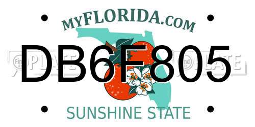 DB6F805 Florida License Plate