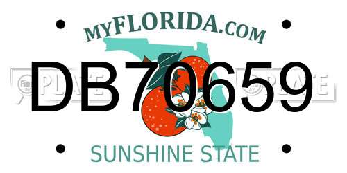 DB70659 Florida License Plate