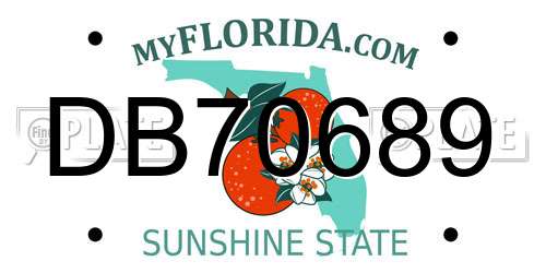 DB70689 Florida License Plate