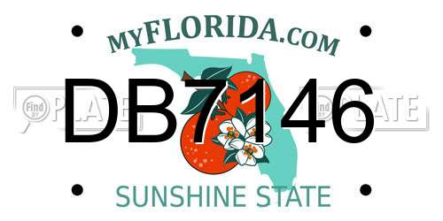 DB7146 Florida License Plate