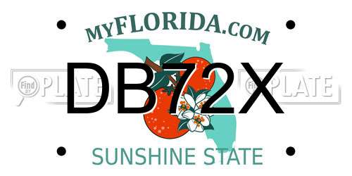 DB72X Florida License Plate