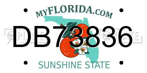 DB73836 Florida License Plate