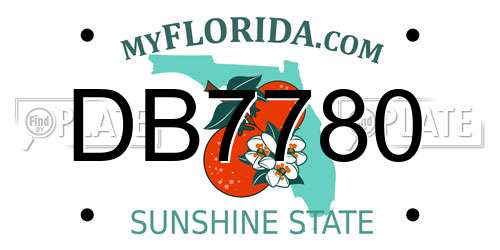 DB7780 Florida License Plate