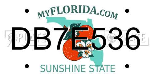 DB7E536 Florida License Plate