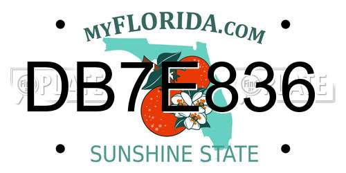 DB7E836 Florida License Plate