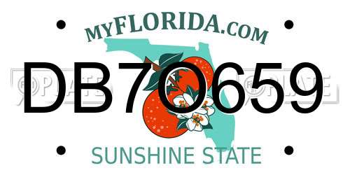 DB7O659 Florida License Plate