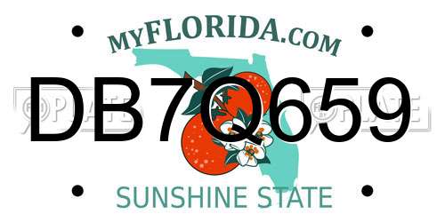 DB7Q659 Florida License Plate