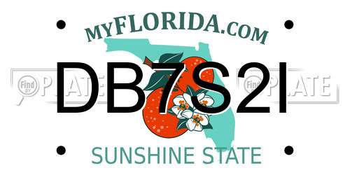 DB7S2I Florida License Plate