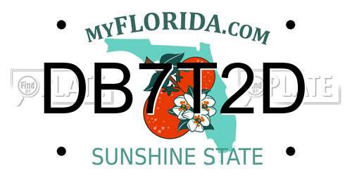 DB7T2D Florida License Plate