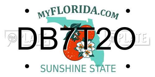 DB7T2O Florida License Plate
