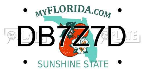DB7Z7D Florida License Plate