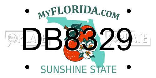 DB8329 Florida License Plate