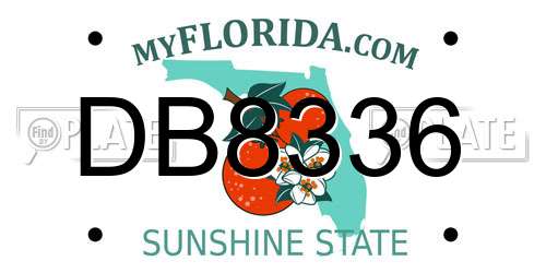 DB8336 Florida License Plate