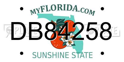 DB84258 Florida License Plate