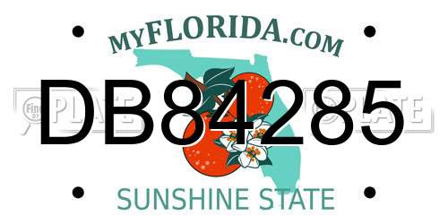 DB84285 Florida License Plate