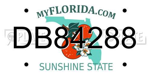 DB84288 Florida License Plate