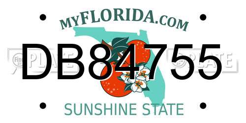 DB84755 Florida License Plate