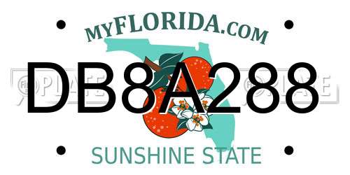 DB8A288 Florida License Plate