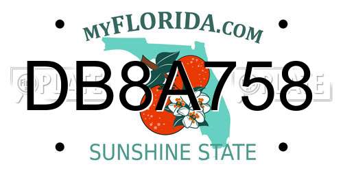 DB8A758 Florida License Plate