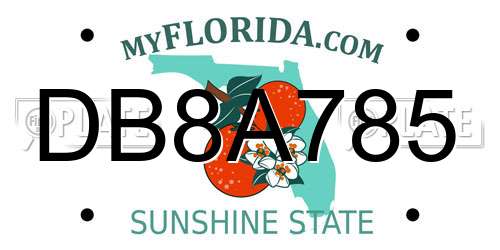 DB8A785 Florida License Plate