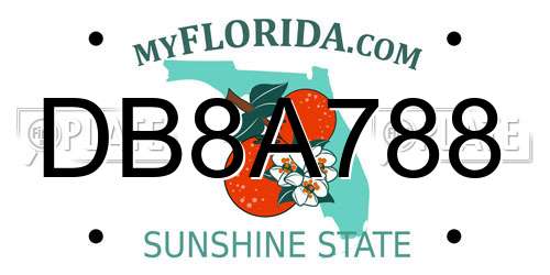 DB8A788 Florida License Plate