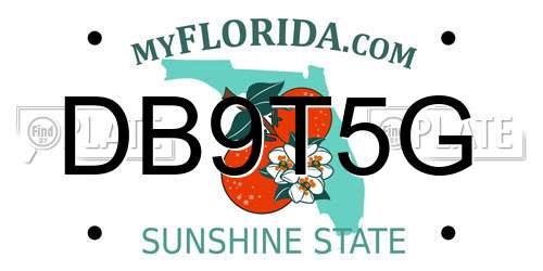 DB9T5G Florida License Plate