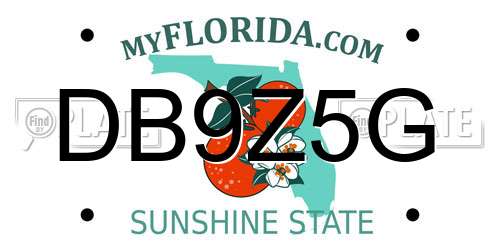 DB9Z5G Florida License Plate